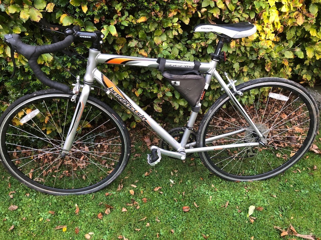 barracuda racing bike